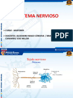 F 5 e 11 A 1687461590 ANATOMIA4°2023 DIAPOSITIVASNERVIOSO