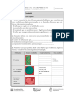 Un Decreto Incomprendido Ficha 7