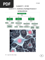 Unidad N 8 Biologia 12 Grado Anatomia y Fisiologia Humana 5
