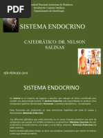 Sistema Endocrino