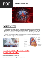 Sistema Circulatorio