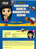 Proyecto Dengue