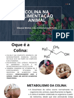 Colina Na Alimentação Animal