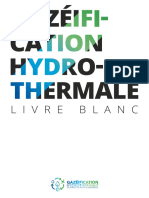 Livre Blanc Gazeification Hydrothermale