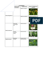 Scientific Names of Angiosperms and Gymnosperms