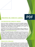 Los Principios Del Derecho Laboral Agosto 2023