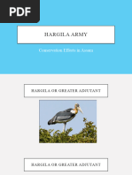 Hargila Army - Conservation Efforts in Assam