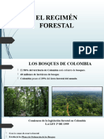 07el Regimén Forestal 7