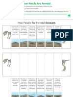 T TP 2550624 Ordering The Stages of Fossilisation ks2 Activity - Ver - 1