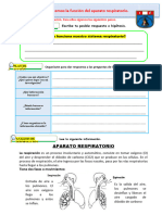 D3 A1 FICHA CT. Conocemos La Función Del Aparato Respiratorio.