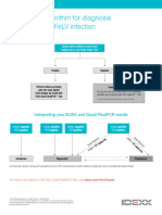 Felv Testing Algorithm