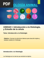 HISTOLOGIA - UNIDAD-2 - 2023-D1-1er - HEMI-1