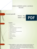 Determinarea Condițiilor Pentru o Producție Eficientă