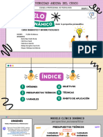 Modelo Clínico Dinámico Desde La Perspectiva Psicoanalítica