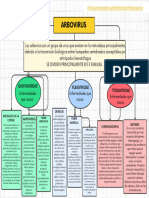 Mapa Conceptual Arbovirus, Vay y Mia