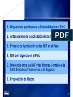 Aplicacion Niif en El Peru