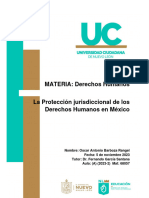 Proteccion Jurisdiccional DDHH 68087 OABR