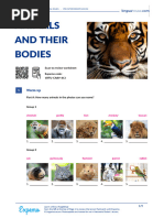 Animals and Their Bodies British English Student