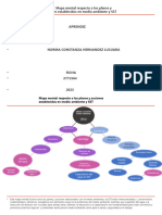 Mapa Mental Sobre Planes Establecidos Medio Ambiente