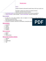 Resumen Neurotraumatologia Sistema Somatico