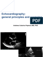 Echocardiography General Principles and Examples