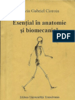 Esențiale În Anatomie Și Biomecanică - Silviu Gabriel Cioroiu Text