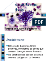 Bactarias Gram Positivas