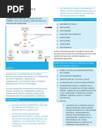 Daño Hepático Crónico