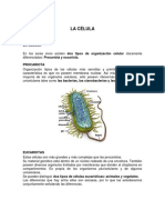 Celula Patologia Clinica 24-09-2023