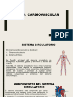 M.T Sistema Cardiovascular