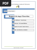 Rapport de Stage Dinsertion Professionne