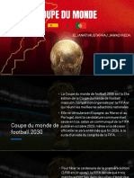 Coupe Du Monde