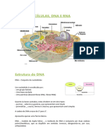 Resumos 1 Bio ST Teste