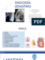 TEMA 3. Mediastino