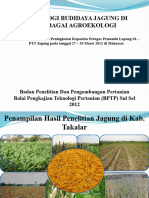 Teknologi Jagung