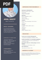 CV Amal BK