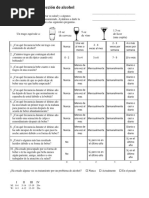 AUDIT Spanish PDF