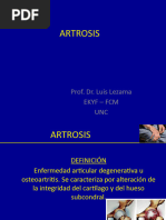 17-Artrosis Clase Fisioterapia 2022.