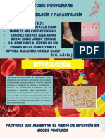 Seminario - Micosis Profundas