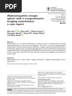 Abdominopelvic Ectopic Spleen With A Comprehensive Imaging Examination: A Case Report