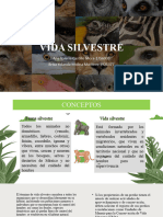 Vida Silvestre