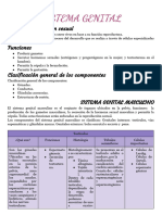 Sistema Genital - Guia