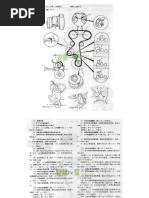 欧宝车系正时图