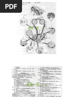 绅宝车系正时图