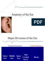 Anatomy of Ear