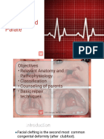 Budi - Cleft Lip and Palate