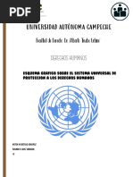 Esquema Grafico de DH SISTEMA UNIVERSAL DE PROTECCION A LOS DERECHOS HUMANOS-fusionado