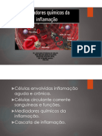 Mediadores Químicos Da Inflamação-Patologia