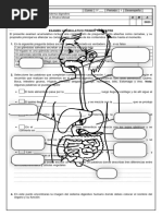 Examen Acumulativo 1T Quinto