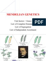 Mendelian Genetics